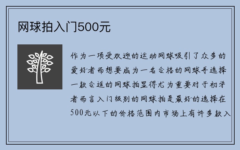 网球拍入门500元